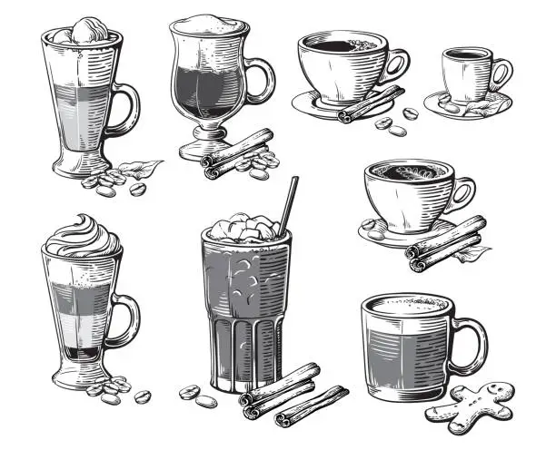 Vector illustration of Different coffee drinks isolated. Espresso macchiato chocolate ristretto mocha irish cocoa frappe glace americano latte cappuccino.