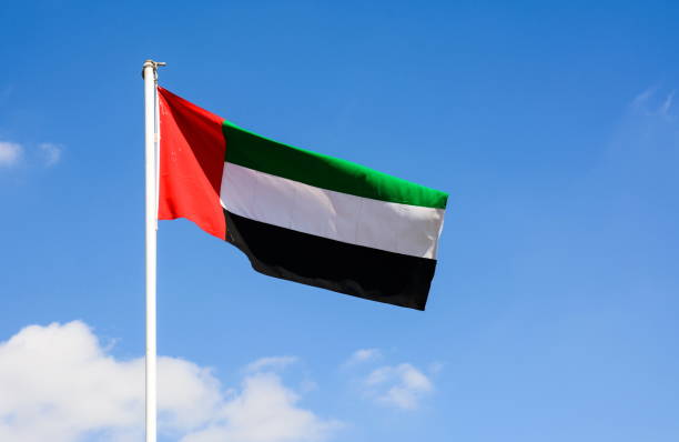 drapeau des émirats arabes unis d’enroulement dans le vent - flag of the united arab emirates photos et images de collection