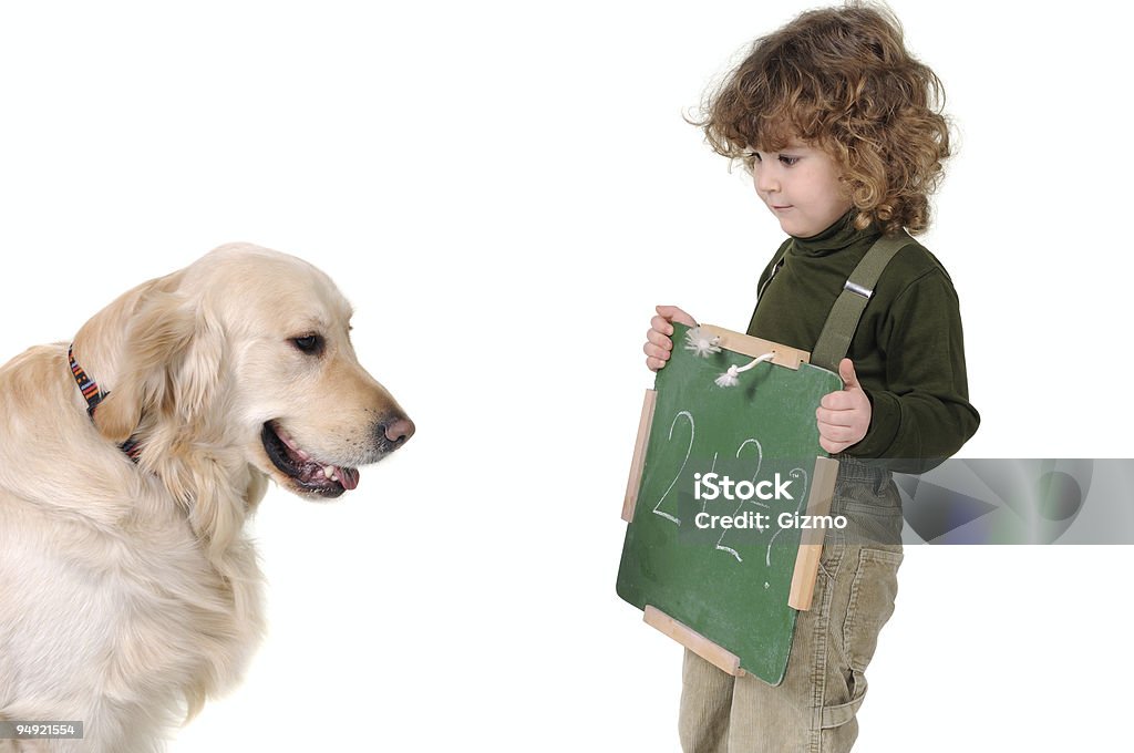 Bildung - Lizenzfrei Hund Stock-Foto