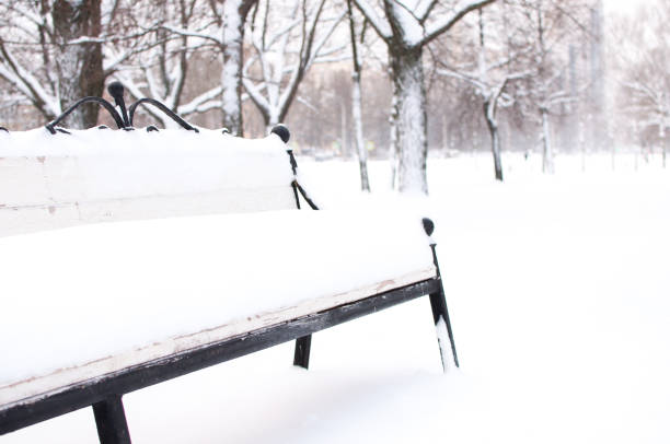 Bench covered with snow stock photo