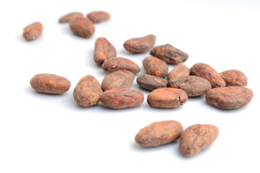 Cocoa beans on the white background. Shallow DOF.