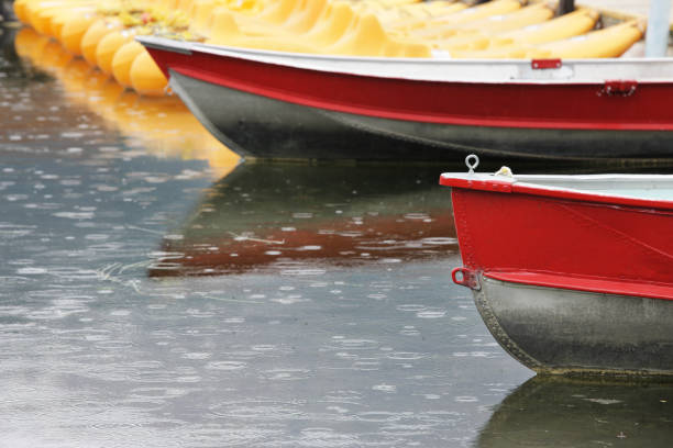 Beautiful scenery landscape young man in yellow raincoat on red small boat enjoying  a misty early morning paddling haze over the Karagöl lake surrounded with forest on sunrise in Borcka, Artvin, Turkey