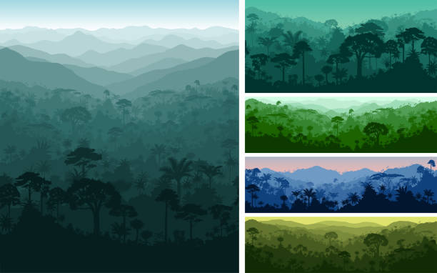 ilustraciones, imágenes clip art, dibujos animados e iconos de stock de conjunto de fondos de vector horizontal perfecta selva tropical selva - indonesia