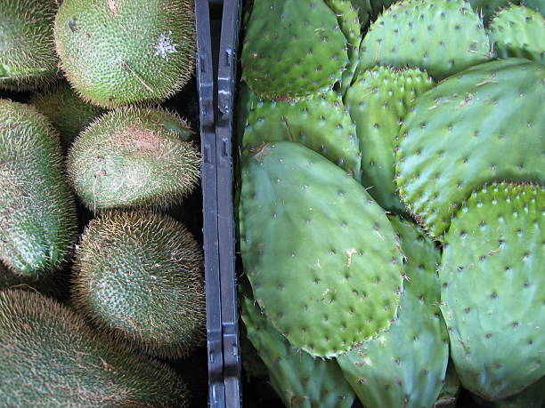 at the market: cactus leaves & chayote squash  chavote stock pictures, royalty-free photos & images