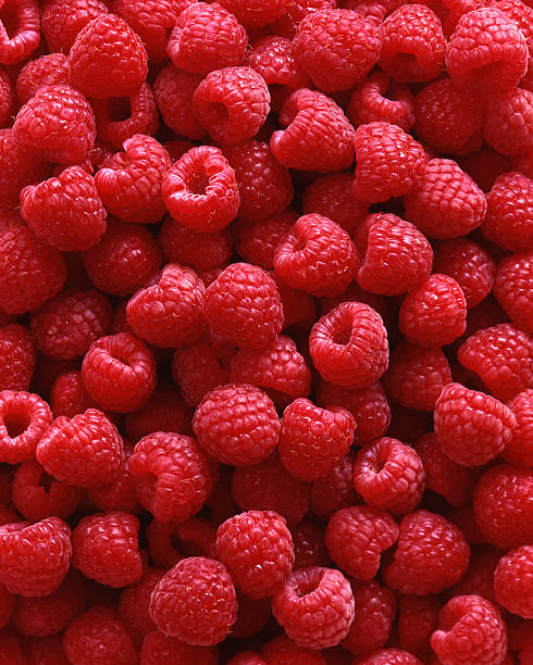 レッドラズベリーを背景 4 x 5 の動画 - organic raspberry ストックフォトと画像