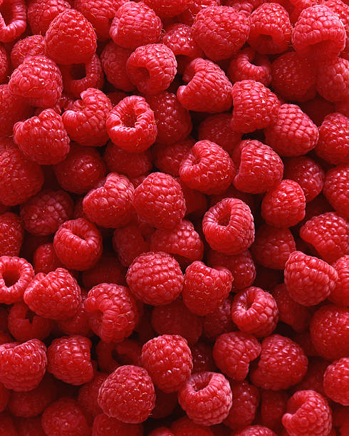 Red Raspberries as background 4x5 Film