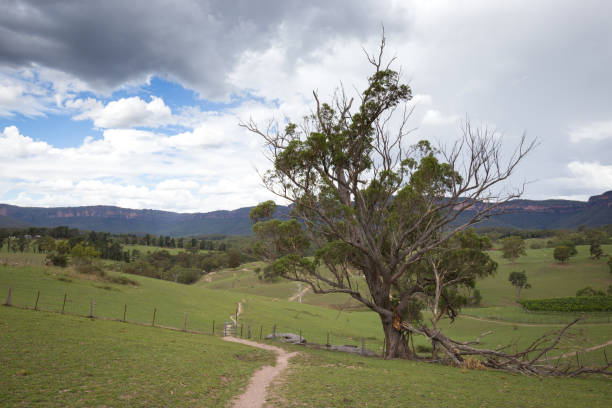 istock A single dirt hiking track winds its way through green fields 949242844
