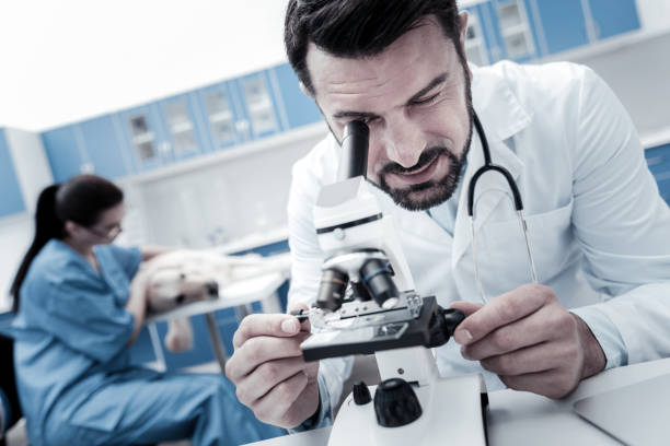 Nice smart man using a microscope Biological analysis. Nice smart handsome man using a microscope and doing biological analysis while working in the vet clinic vet treating horse stock pictures, royalty-free photos & images