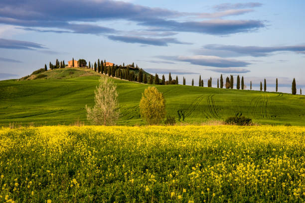 Springtime in Tuscany Spring landscape in Siena's countryside, Tuscany, Italy crete senesi stock pictures, royalty-free photos & images