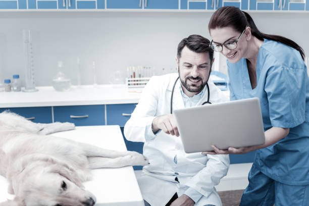 istock Nice delighted man pointing at the laptop screen 949244418