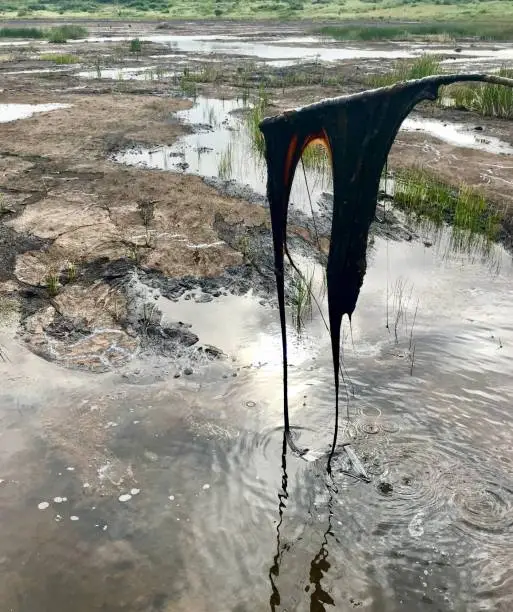 Photo of Fascinating La Brea Pitch Lake on the Caribbean island of Trinidad