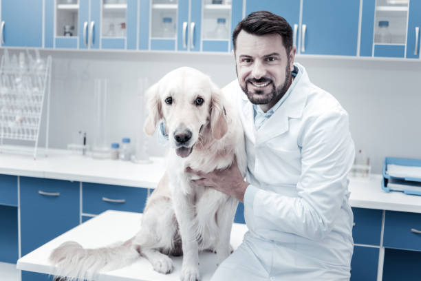 istock Joyful happy man sitting near the dog 949244890