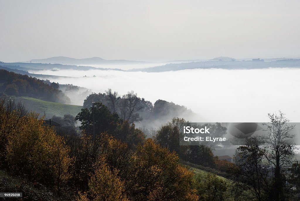 Misty paisagem - Foto de stock de Ajardinado royalty-free