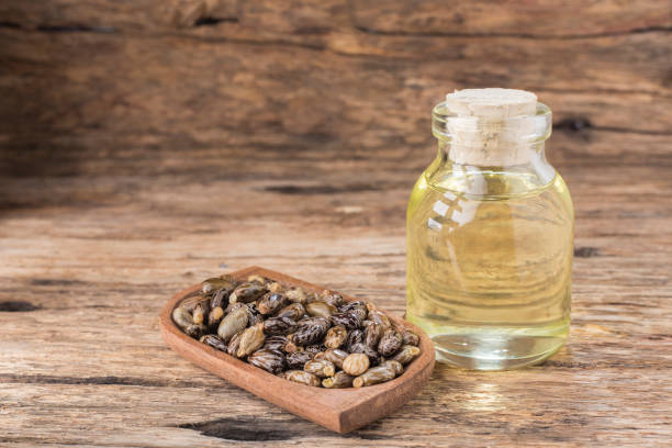 istock grains and castor oil on old wood 949252268