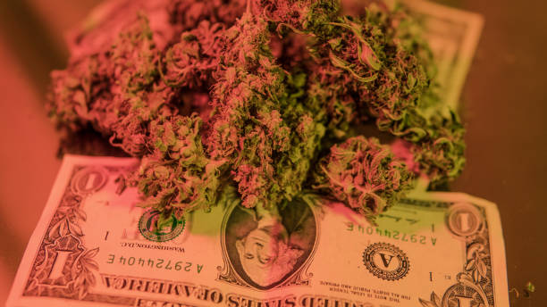 istock Big medical marijuana buds on the dollars background. Illegal narcotic traffic 949253400