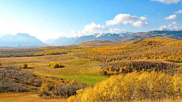 istock Pasture and Rocky Mountains in Southern Alberta 949256090