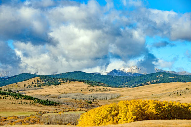 istock Pasture and Rocky Mountains in Southern Alberta 949256182