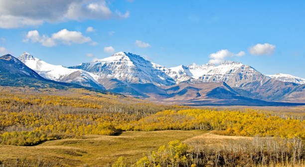 istock Pasture and Rocky Mountains in Southern Alberta 949256206