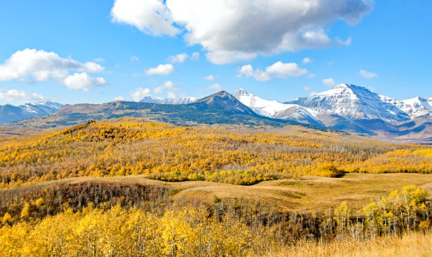 istock Pasture and Rocky Mountains in Southern Alberta 949256250