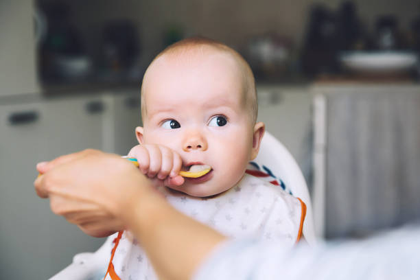 Feeding. Messy smiling baby eating with a spoon in high chair. Baby's first solid food.