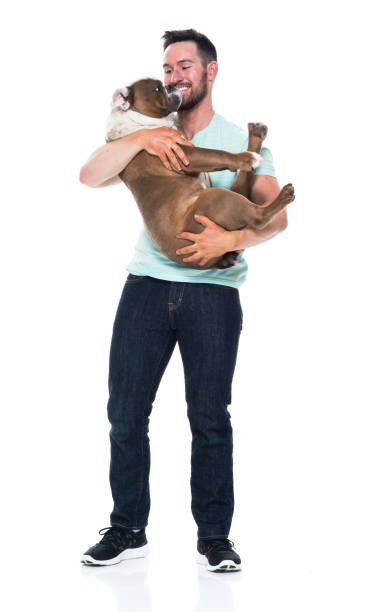 istock Happy young man playing with his bulldog 949268536
