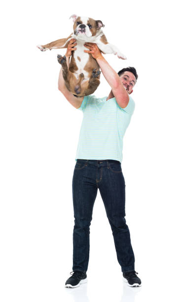istock Happy young man playing with his bulldog 949268670