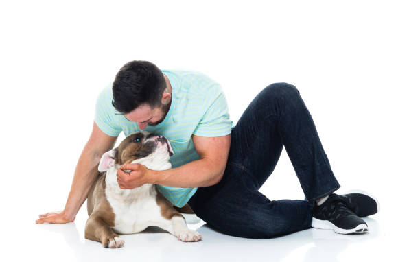 istock Happy young man playing with his bulldog 949269096