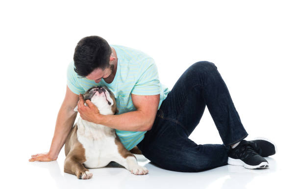 istock Happy young man playing with his bulldog 949269110