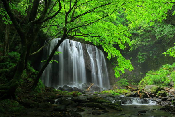 istock Summer Tatsuzawa immobile waterfall 949269178