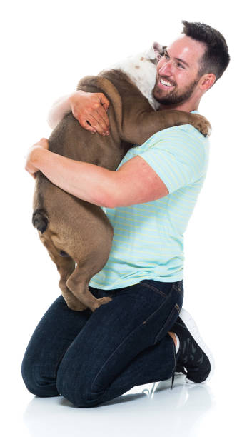 istock Happy young man playing with his bulldog 949269222