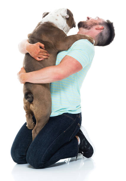 istock Happy young man playing with his bulldog 949269232