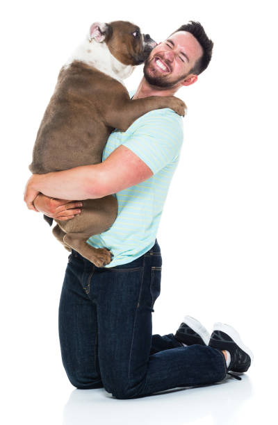 istock Happy young man playing with his bulldog 949269234