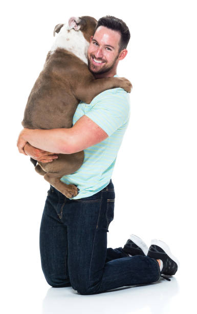 istock Happy young man playing with his bulldog 949269300