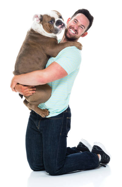 istock Happy young man playing with his bulldog 949269314