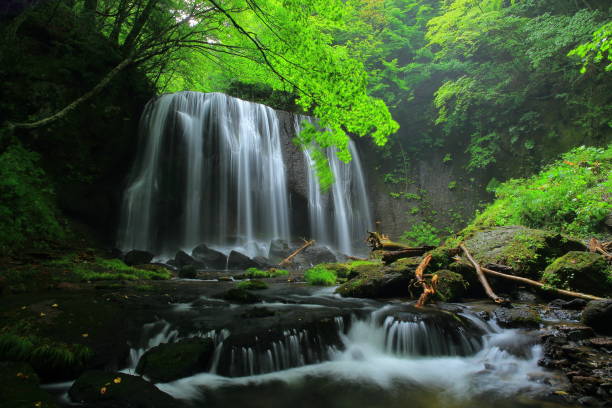 istock Summer Tatsuzawa immobile waterfall 949269350