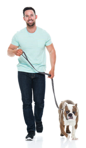 istock Happy young man playing with his bulldog 949269458