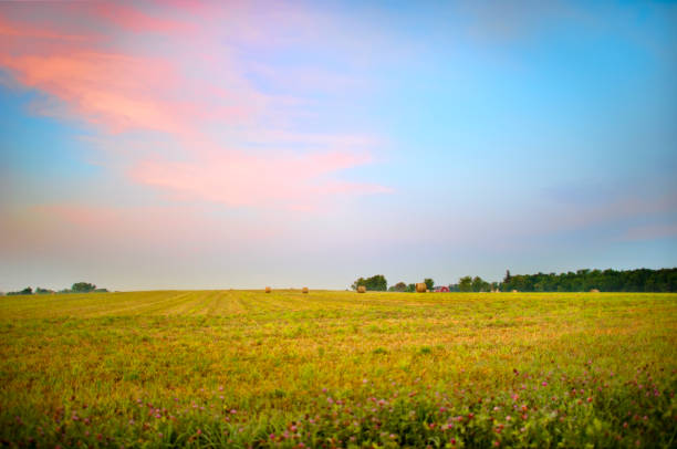Field and blue sky landscape shot with a fisheye lens.