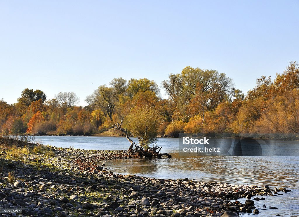 Река Сакраменто осенью - Стоковые фото Без людей роялти-фри