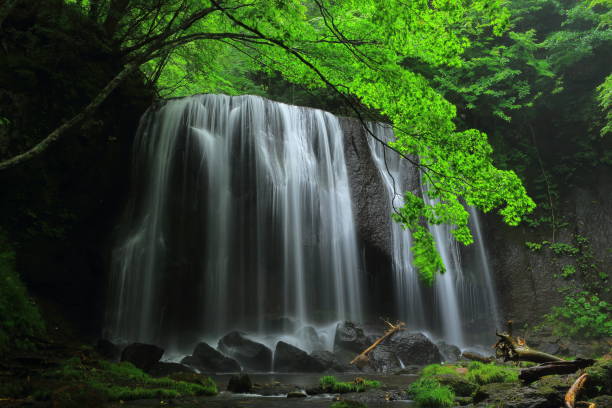 istock Summer Tatsuzawa immobile waterfall 949278680