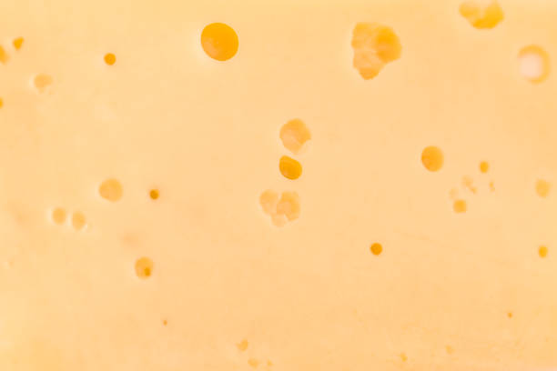 close-up of a cheese loaf with holes. - cheese emmental cheese switzerland grated imagens e fotografias de stock
