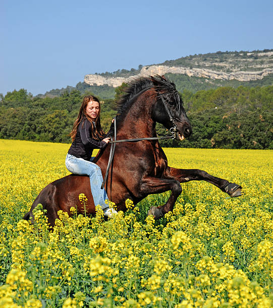 istock teen and rearing stallion 94928650