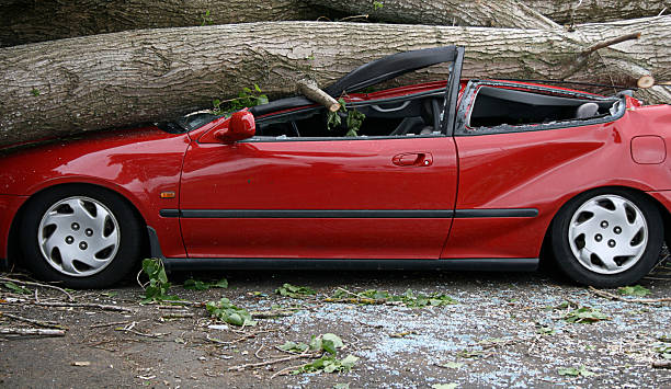 auto-zerstoßen - baumstamm am boden stock-fotos und bilder