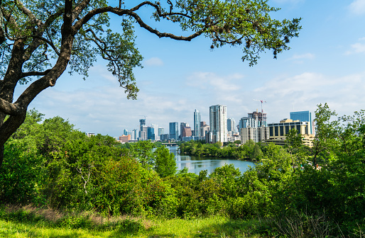 Austin Texas skyline Cityscape through trees on hill top of Travis Heights