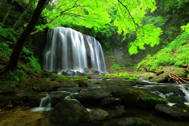 istock Summer Tatsuzawa immobile waterfall 949289338