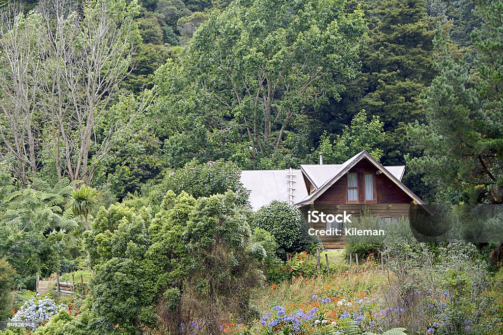 Bush de cabina - Foto de stock de Chalet veraniego libre de derechos