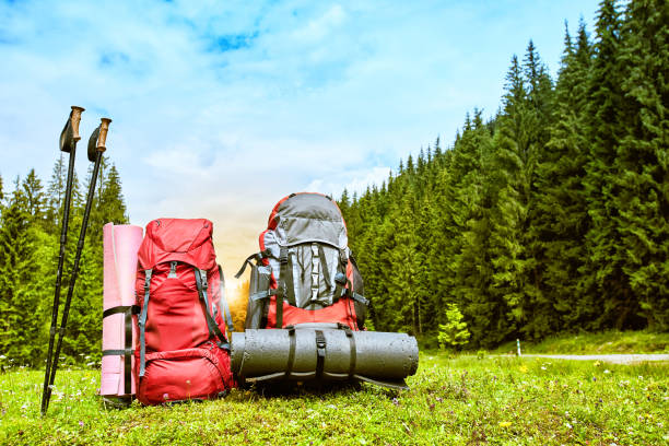 istock Backpacks in the mountains overlooking the mountains on the green grass. 949289712