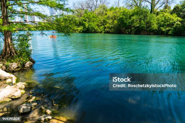 Photo libre de droit de Barton Springs Eaux Tropicales Le Long De La Ville De Lake À Austin Texas Usa banque d'images et plus d'images libres de droit de Austin - Texas