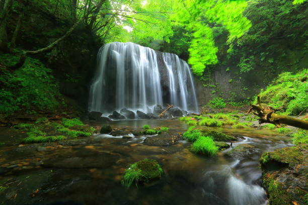 istock Summer Tatsuzawa immobile waterfall 949296508