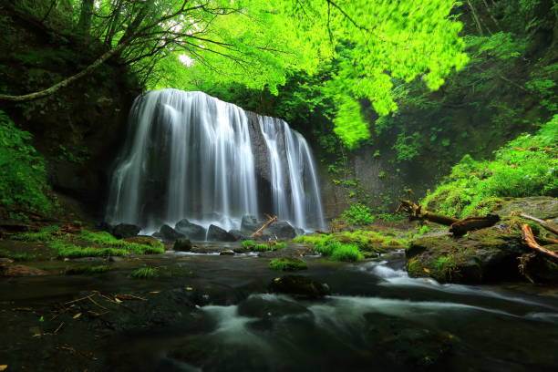 istock Summer Tatsuzawa immobile waterfall 949296554