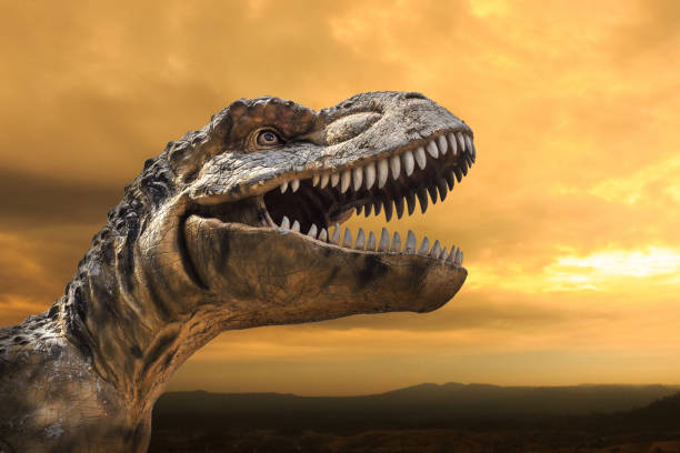 istock Tyrannosaurus rex in sunset 949302964